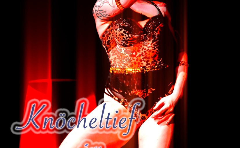 Knöcheltief im Fotzenloch (Sammelband)